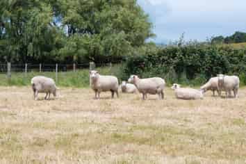 44A Papaitonga Lake Road, Ohau