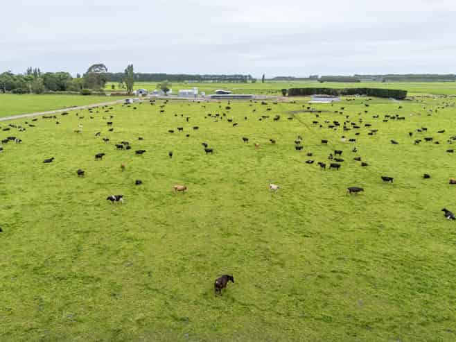 94 Brogdens Road, Lowcliffe