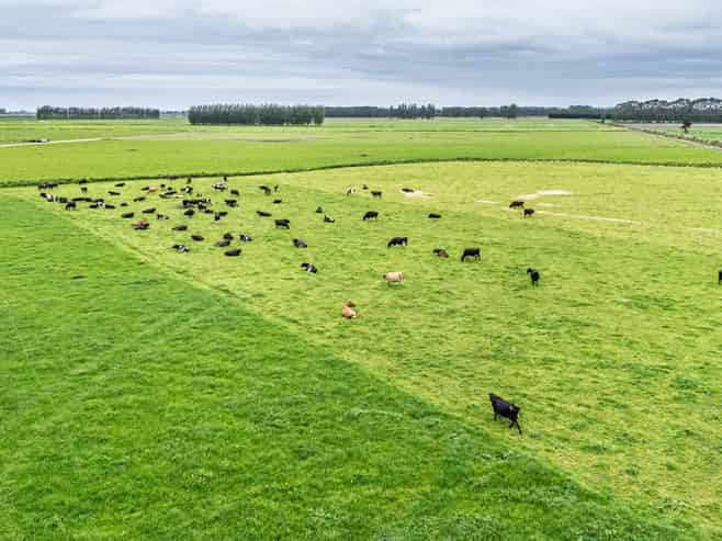 94 Brogdens Road, Lowcliffe