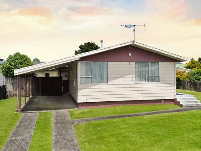 17 Enfield Street, Nawton