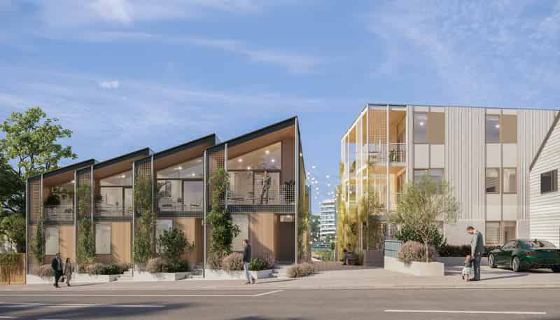 207 Adelaide Road, Newtown