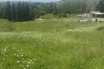 9 Petley Road, Paparoa