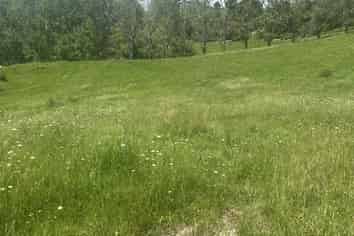 9 Petley Road, Paparoa