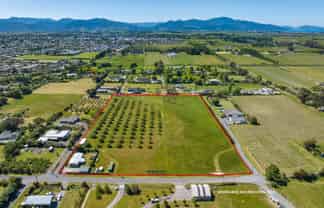 187 Wither Road, Witherlea