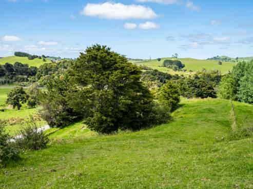 316 Griffin Road, Maungaturoto