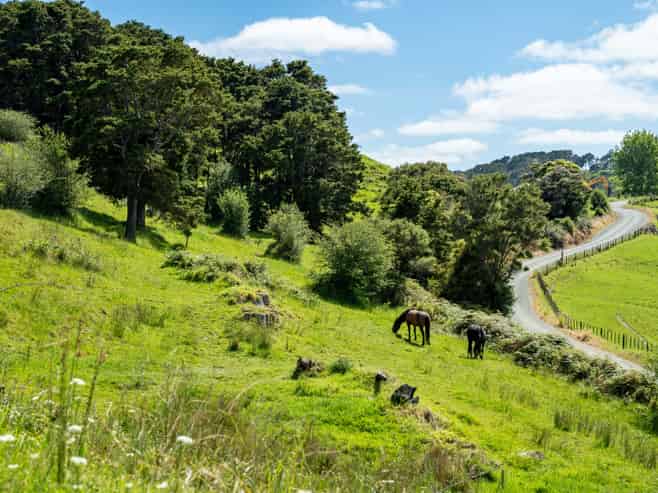 278 Griffin Road, Maungaturoto