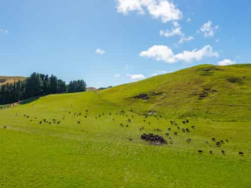 359 Hurunui Mouth Road, Domett