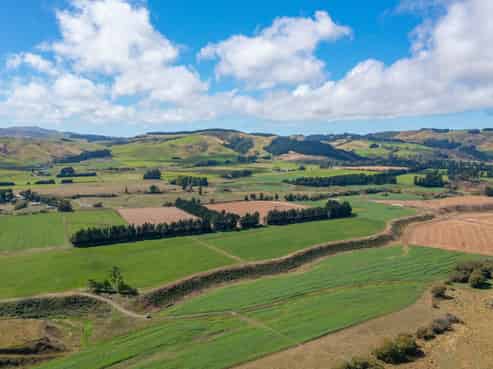 359 Hurunui Mouth Road, Domett