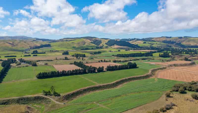359 Hurunui Mouth Road, Domett
