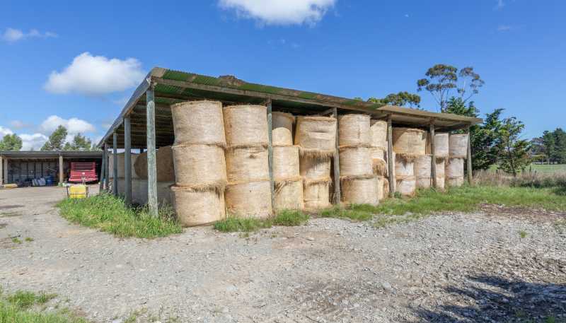 359 Hurunui Mouth Road, Domett