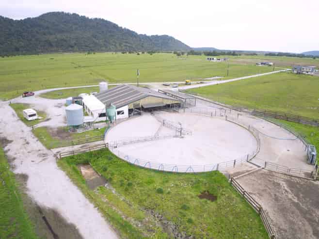 598 Waiho Flat Road, Franz Josef Glacier