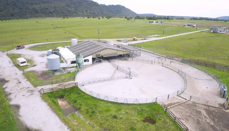 598 Waiho Flat Road, Franz Josef Glacier