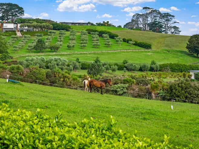 23 Tamahunga Drive, Matakana