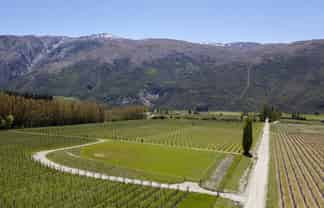 Lot 2, 172 Gibbston Back Road, Gibbston