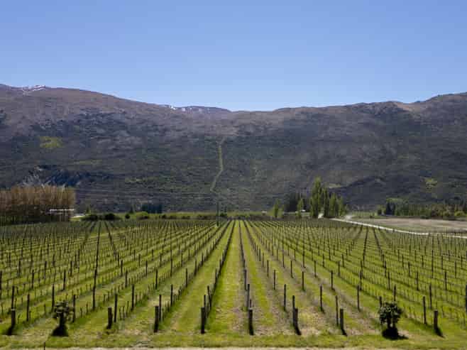 Lot 1, 172 Gibbston Back Road, Gibbston