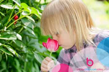 Price Realigned - High-Profile ECE Centre –West Auckland