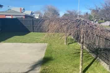 129 Russell Street, Palmerston North Central