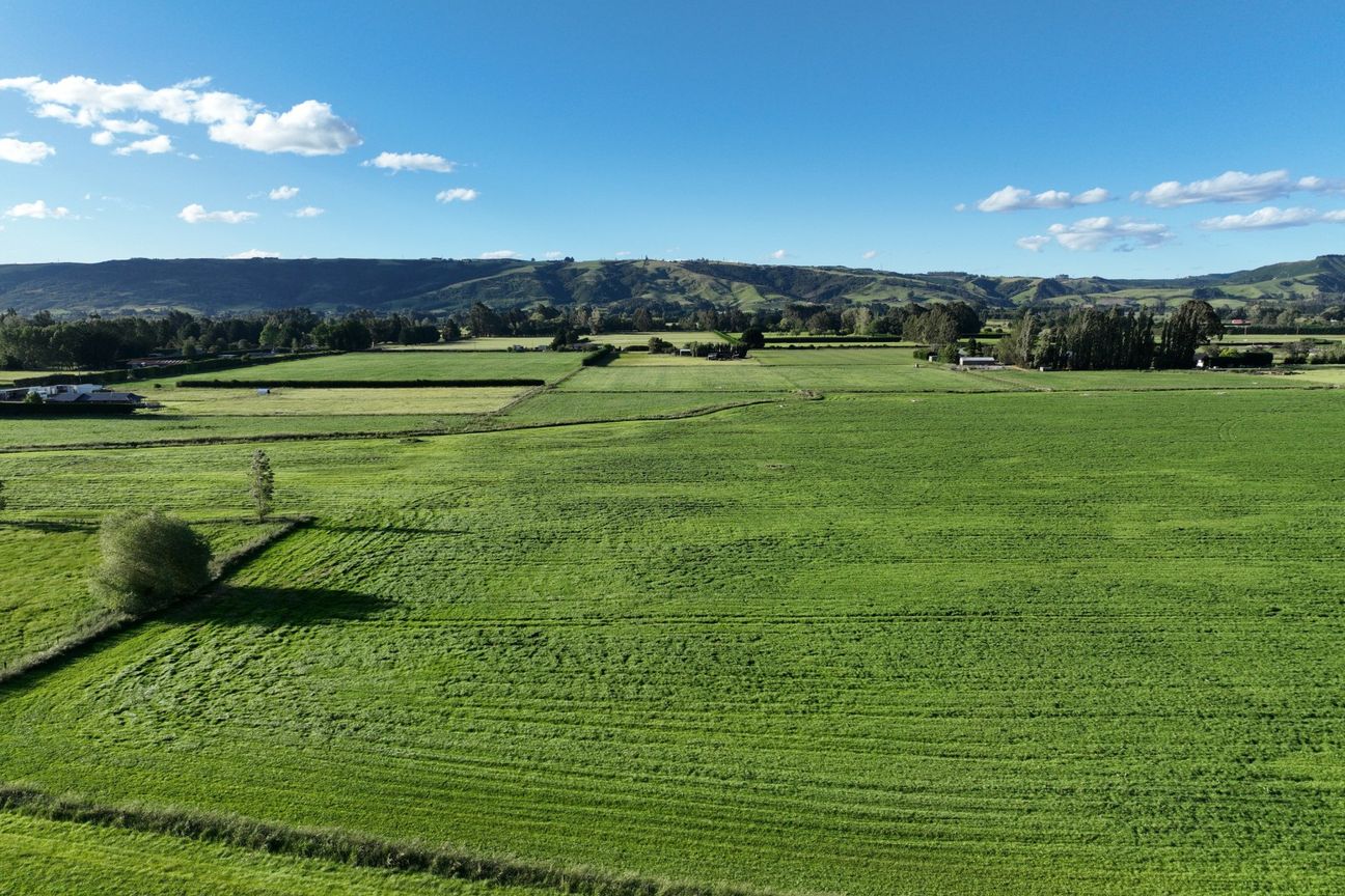 Taieri at Its Best - Widok 5