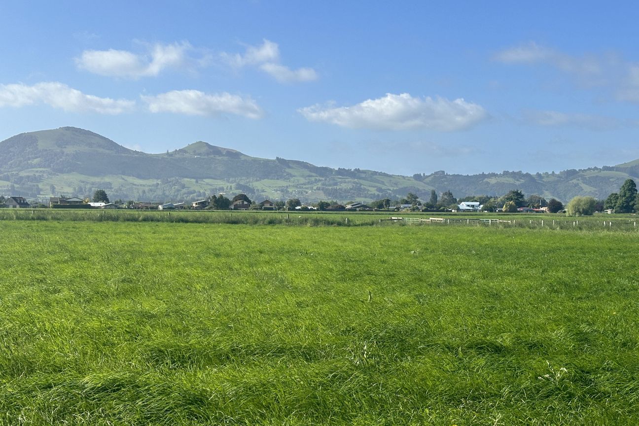 Taieri at Its Best - Widok 2