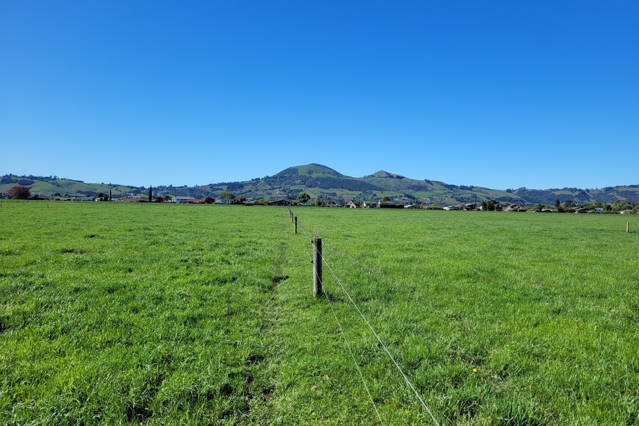 Taieri at Its Best - Widok 4