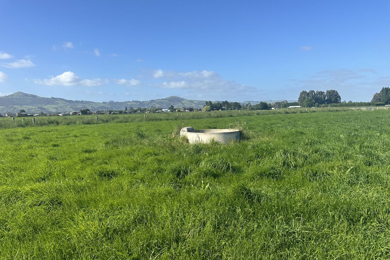 Taieri at Its Best - Widok 6