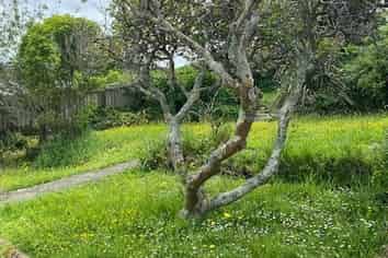 20 Gloucester Street, Cannons Creek