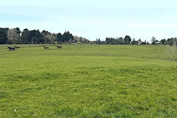 234 Myross Road, Myross Bush