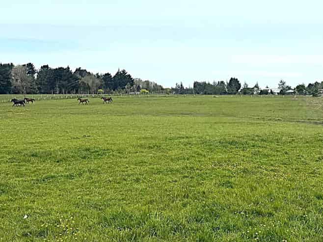 234 Myross Road, Myross Bush