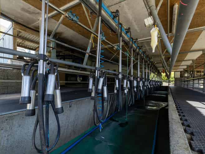 537 Ronga Road, Rai Valley