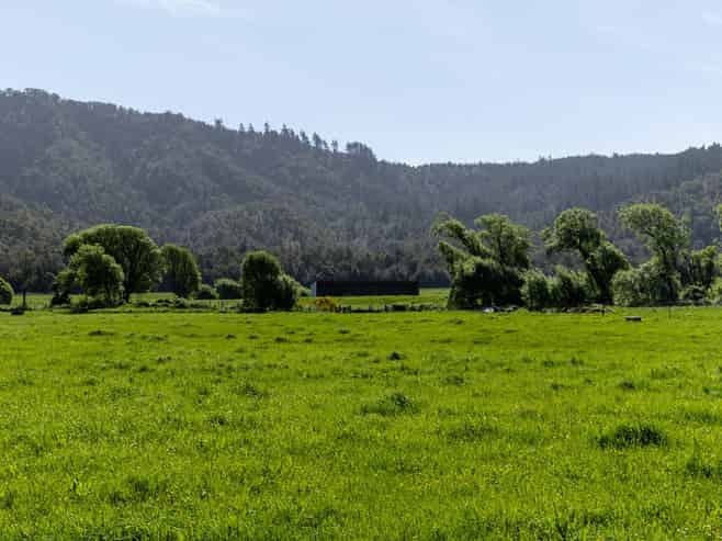 537 Ronga Road, Rai Valley