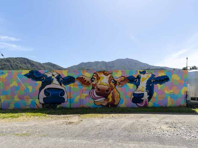 537 Ronga Road, Rai Valley