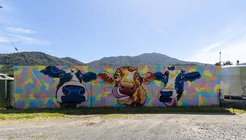 537 Ronga Road, Rai Valley