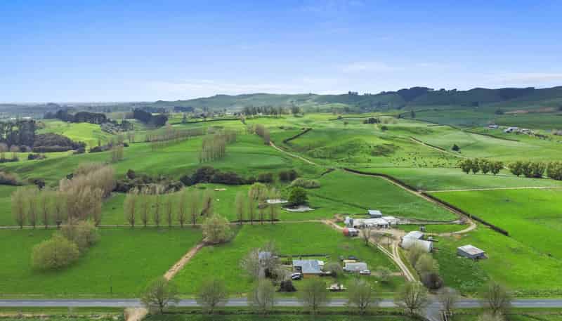 63 Harbottle Road, Morrinsville