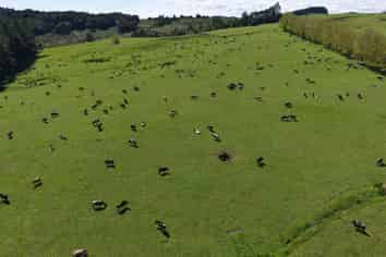 619 Rakauwahia Road, Kaikohe