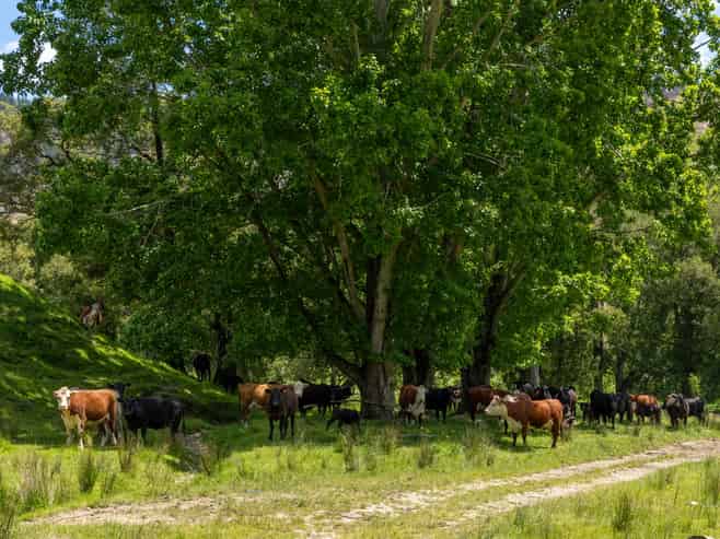 281 Tadmor Valley Road, Tapawera