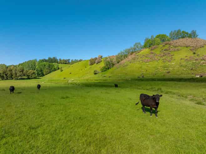 281 Tadmor Valley Road, Tapawera