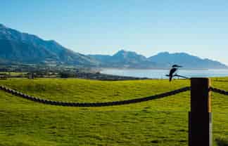 47 Shearwater Drive, Kaikoura