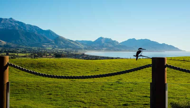 47 Shearwater Drive, Kaikoura
