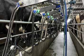 28 Stopbank Road, Hokitika