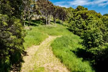 24 Fred Hollows Way, Glenleith