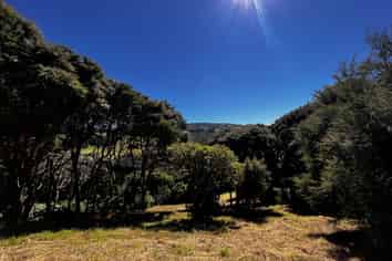 24 Fred Hollows Way, Glenleith