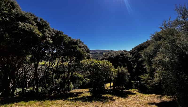 24 Fred Hollows Way, Glenleith