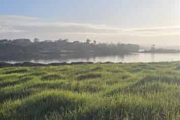 47 Matahehe Lane, Tinopai