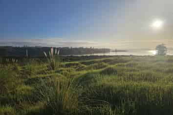 47 Matahehe Lane, Tinopai