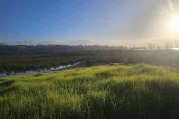 47 Matahehe Lane, Tinopai