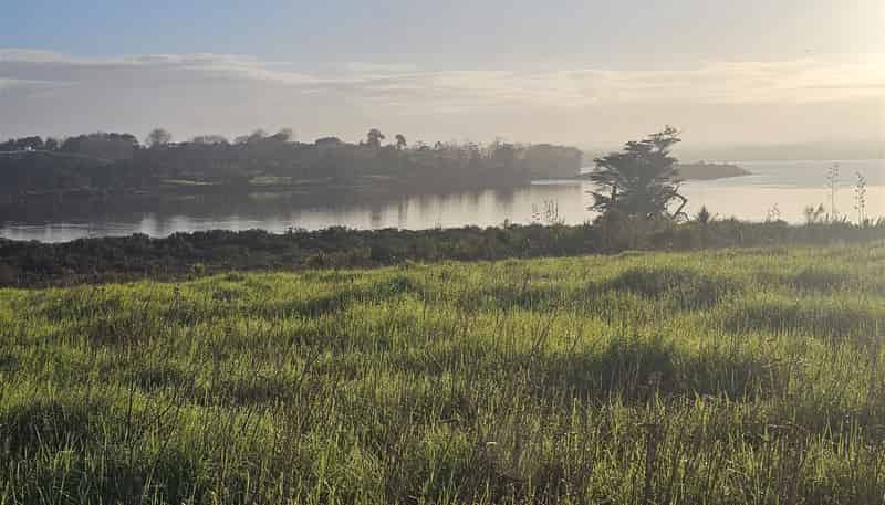 47 Matahehe Lane, Tinopai