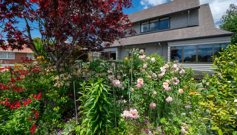 12 Davidson Street, Glenholme