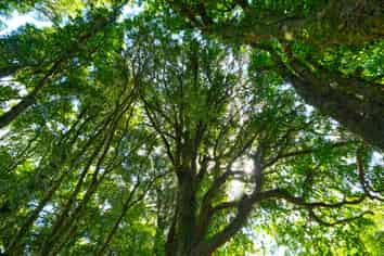 Lot 3 Oturoa Road, Hamurana