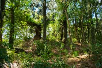 Lot 3 Oturoa Road, Hamurana