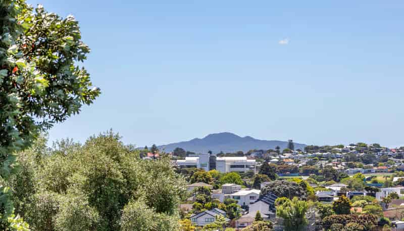 4/17A Kawau Road, Greenlane